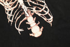 REPRESENT T-Shirt