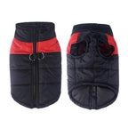 Colete de frio para Cachorros